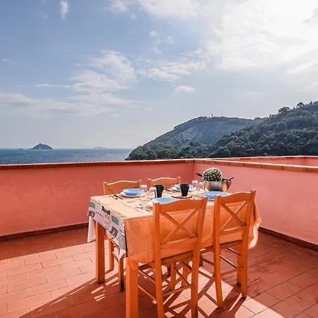 Pet Friendly In With House Sea View